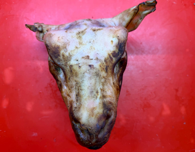 Halal Head