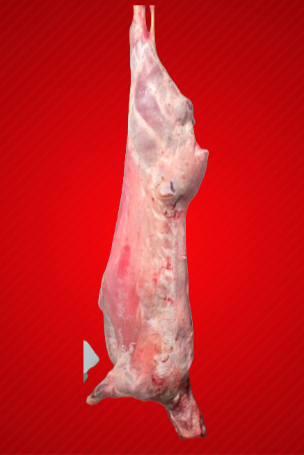 Halal Half Goat
