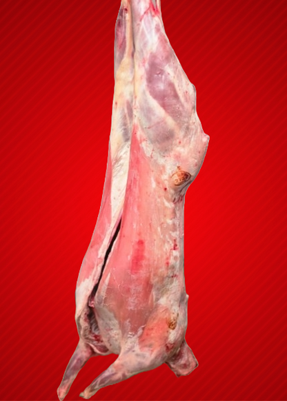 Halal Whole Mutton