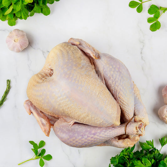 Halal Chicken Broiler