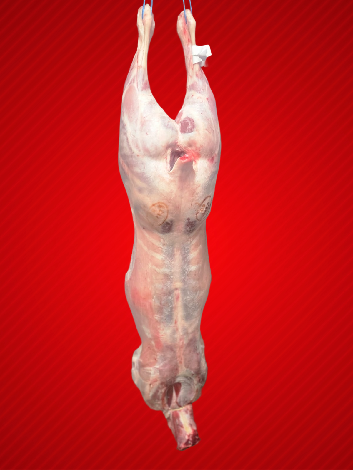 Halal Whole Baby Lamb