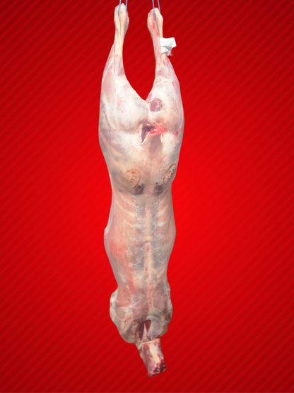 Halal Whole Baby Lamb