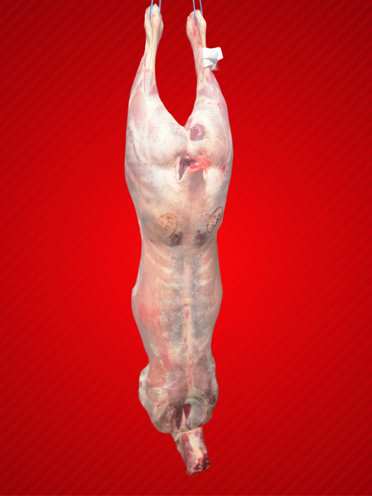 Halal Whole Baby Lamb – 8.7 kg (£100, Free Delivery)