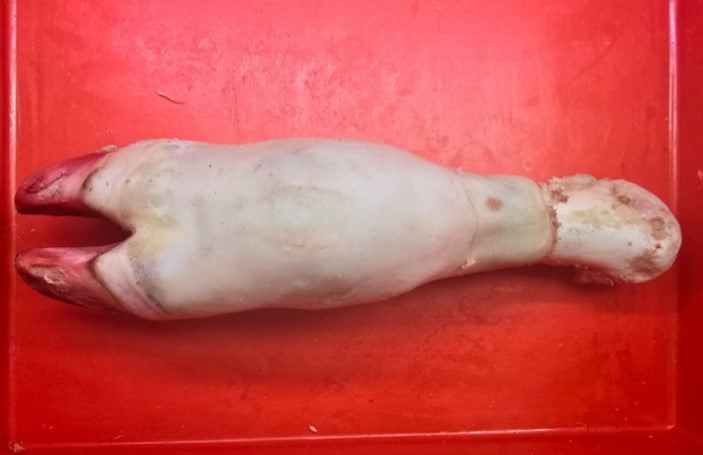 Halal Beef Trotters (Paya)