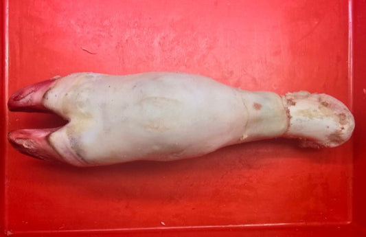 Halal Beef Trotters (Paya)