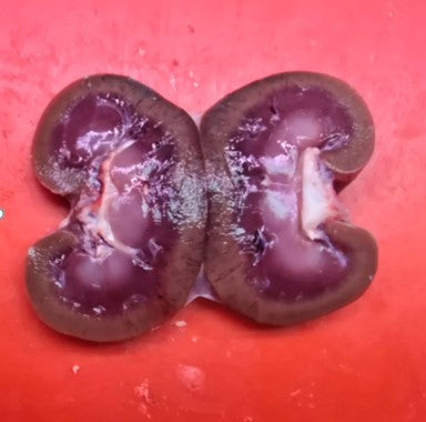 Baby Lamb Kidneys